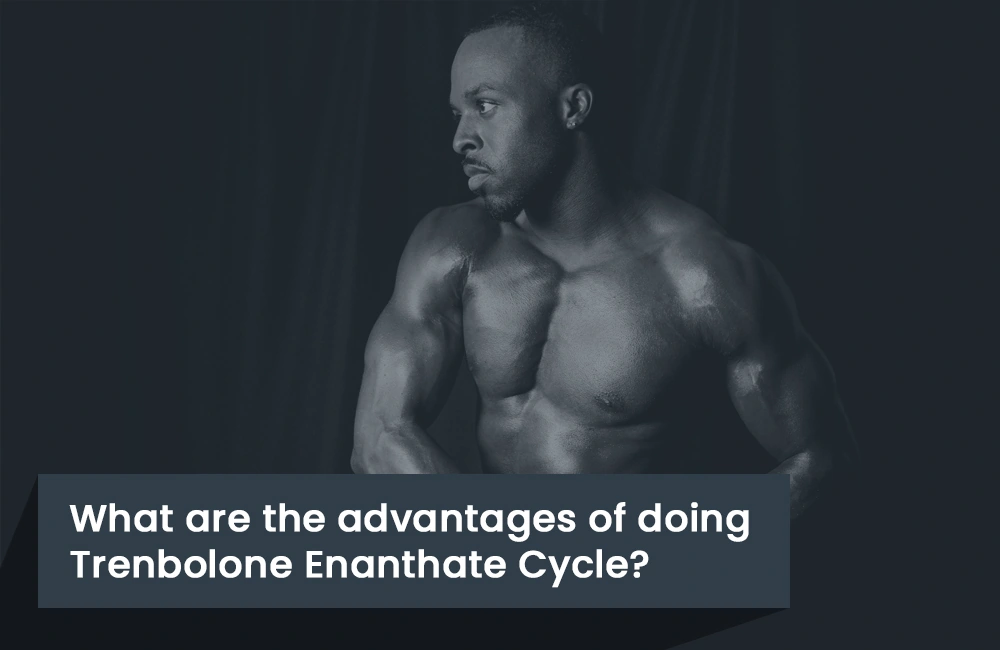 Trenbolone Enanthate cycle advantages