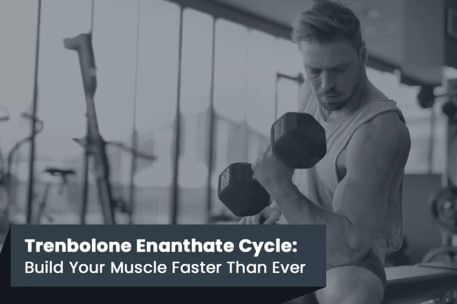 Trenbolone Enanthate Cycle