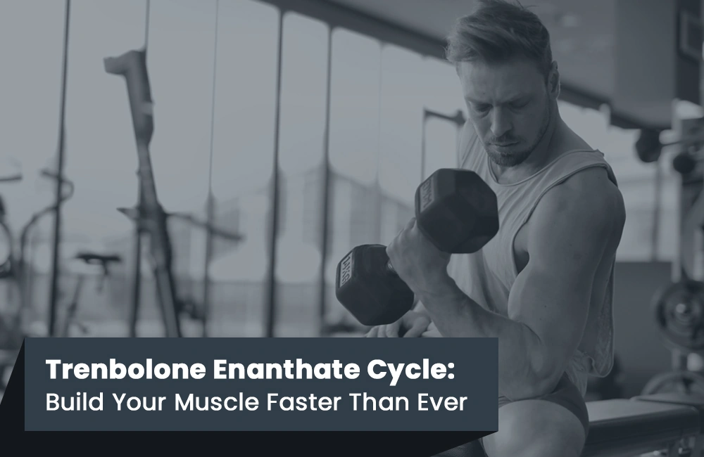 Trenbolone Enanthate Cycle