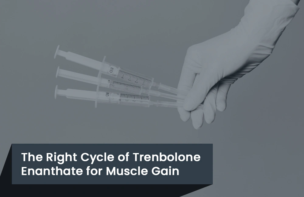 Trenbolone Enanthate Right Cycle